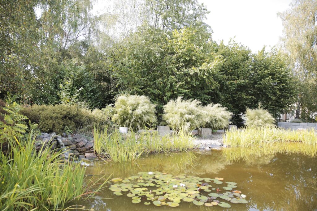 Garten der Tagespflege Behmenburg